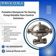 Pulsation Dampener for Dosing Pump | Reliable Flow Control Solutions 