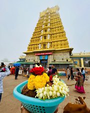 Mysore Tour Packages